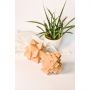 product/gallery/191939/2025/05/roy-r08823.f3.png