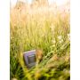product/gallery/191990/2025/05/roy-r17438-21.f4.png
