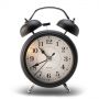 product/gallery/192148/2025/05/roy-r22116-02.f1.png