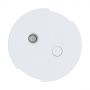 product/gallery/192217/2025/05/roy-r50162-06.f2.png