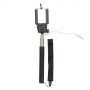 product/gallery/192315/2025/05/roy-r64324-02.f2.png