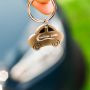 product/gallery/192378/2025/05/roy-r73287.f3.png